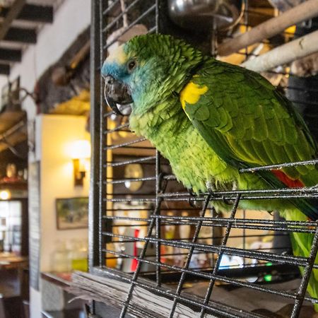 New Inn كرديتون المظهر الخارجي الصورة